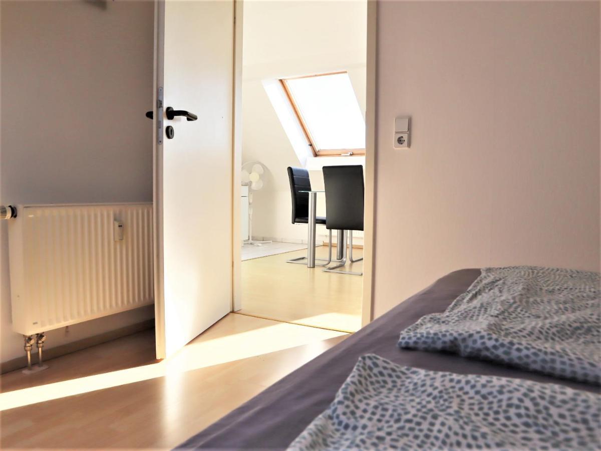 Kuschelige Dachgeschosswohnung Am Clarapark لبسيا المظهر الخارجي الصورة